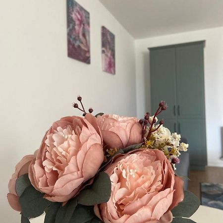 Focus Apartament Флорешты Экстерьер фото